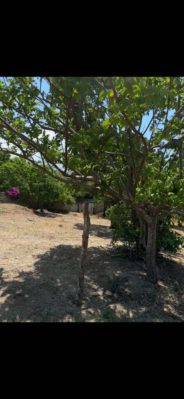 Lote De Oportunidad en el Sector de Bello Sol  — photo 2