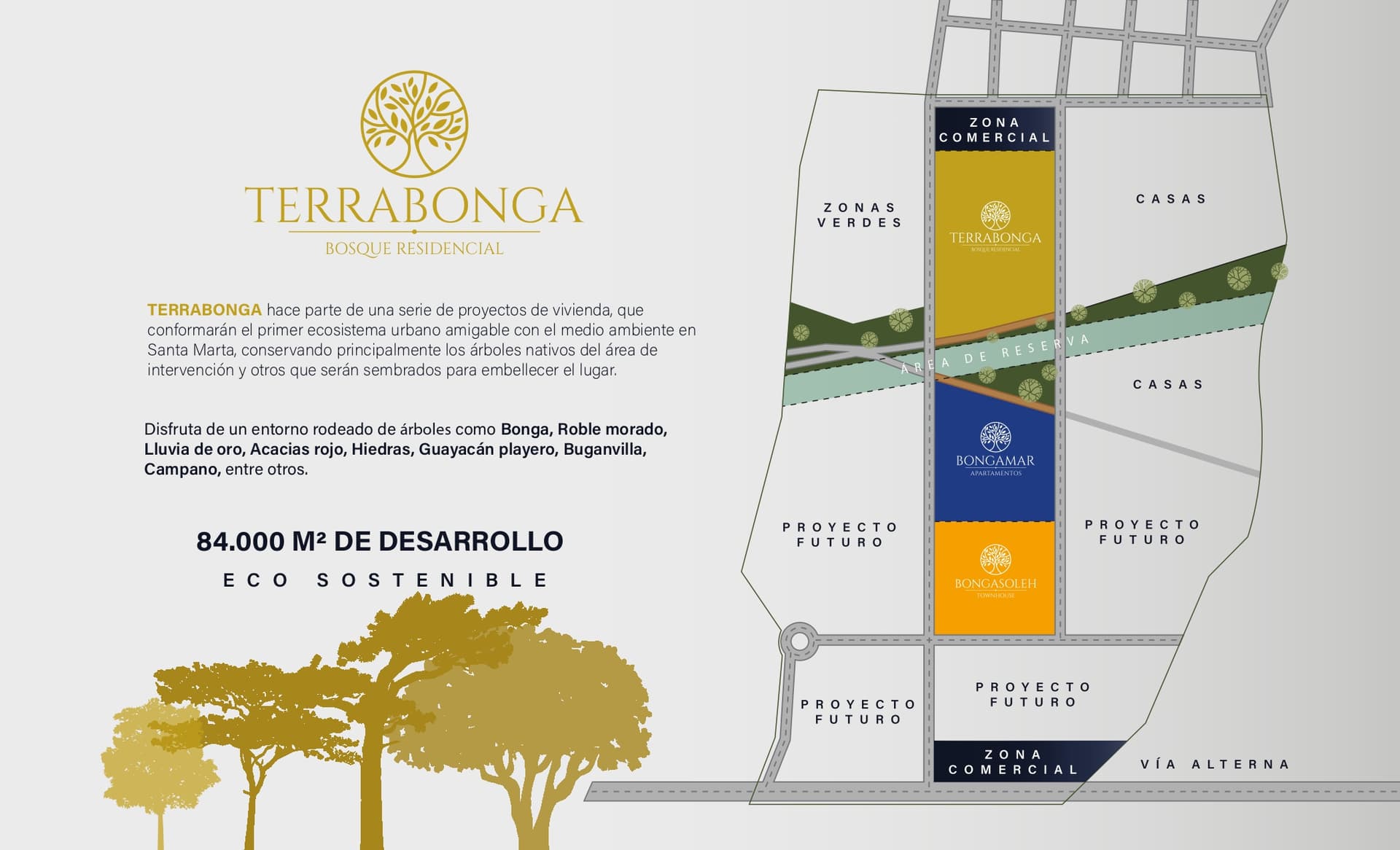 TERRABONGA  — photo 3
