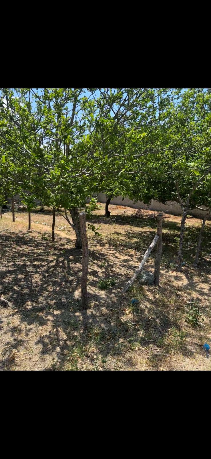 Lote De Oportunidad en el Sector de Bello Sol  — photo 3